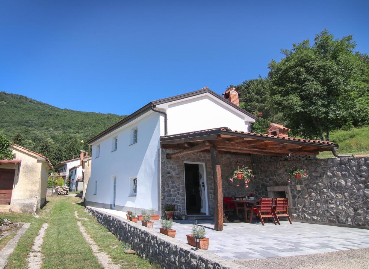 Guest House 'Villa Fani' Veprinac With Jacuzzi Exterior foto