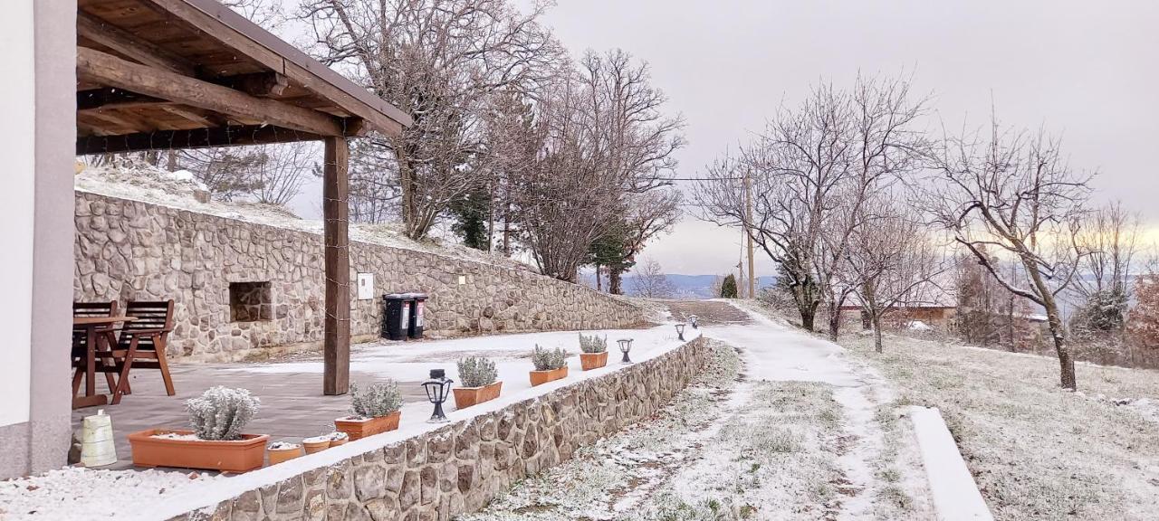 Guest House 'Villa Fani' Veprinac With Jacuzzi Exterior foto